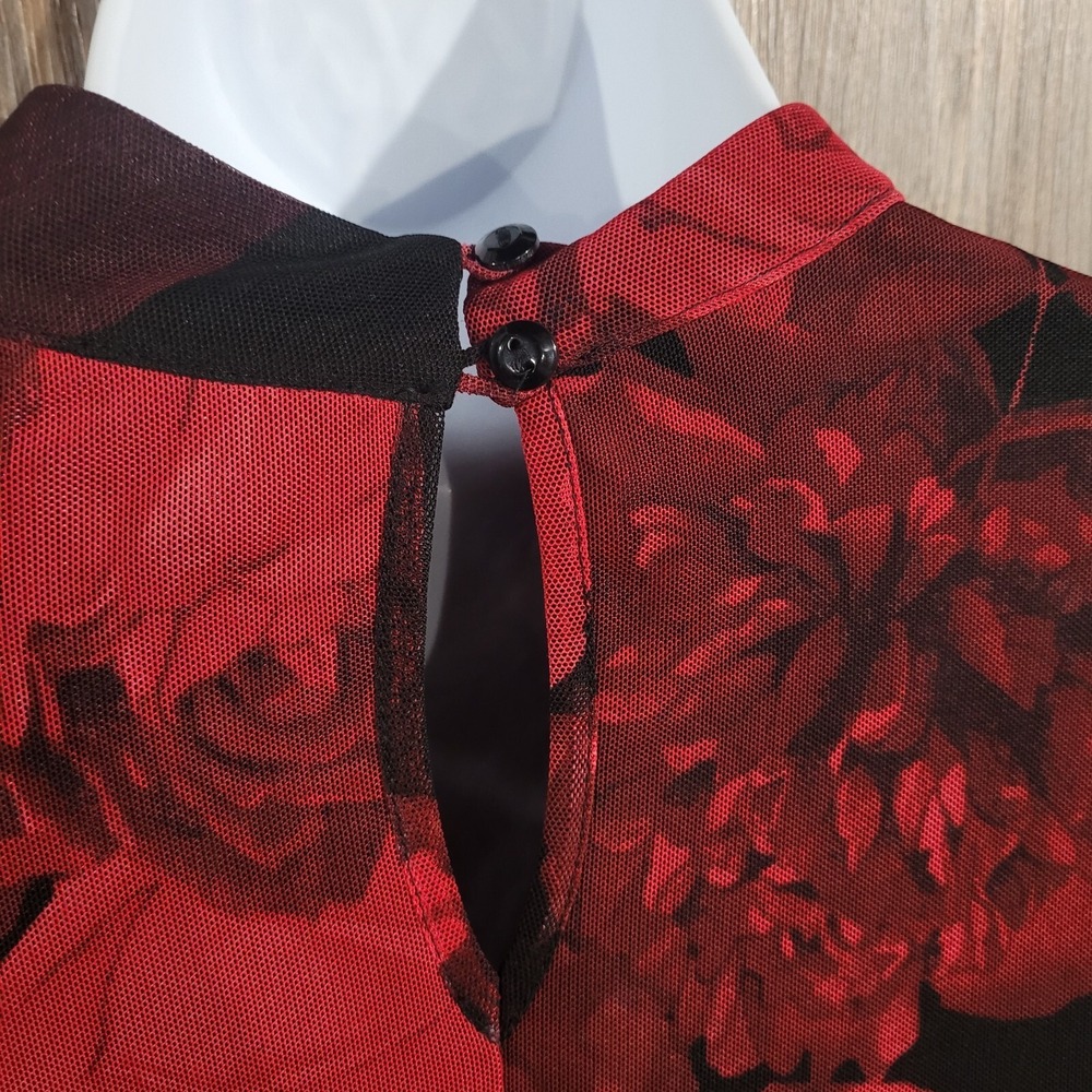 VTG Alexa B Nites Dark Romantic Dress Size 10 Sheer Mesh Roses Whimsigoth Lined - Picture 9 of 12
